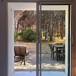 Lejlighed New Pinede Saint-Tropez