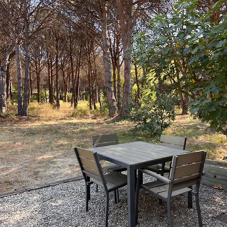 New - Casa Alba, Tropez * Saint-Tropez