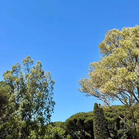 דירה New - Casa Alba, Tropez *